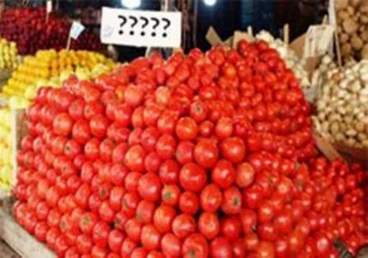 گرانی عجیب گوجه فرنگی در میدان میوه و تره بار