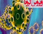 بیمه گذاران مبتلا به ویروس کرونا تحت پوشش بیمه نامه های زندگی بیمه ایران