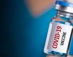 واکسن کرونا برای سلامت باروری مردان فایده دارد؟