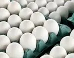 قیمت مصوب تخم مرغ درب مرغداری 9500 تومان و سطح عرضه 20 هزار تومان