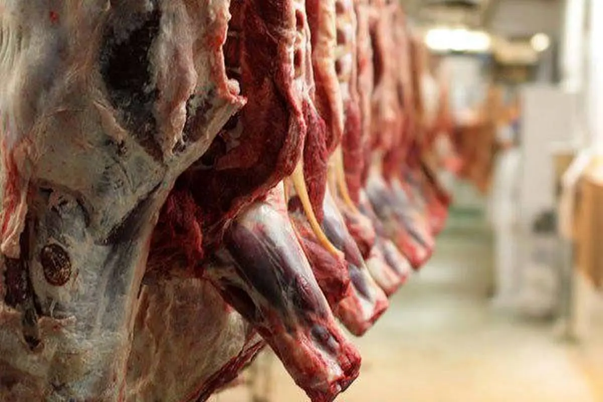 پیش بینی بازار گوشت قرمز | قیمت گوشت قرمز در سال جدید 
