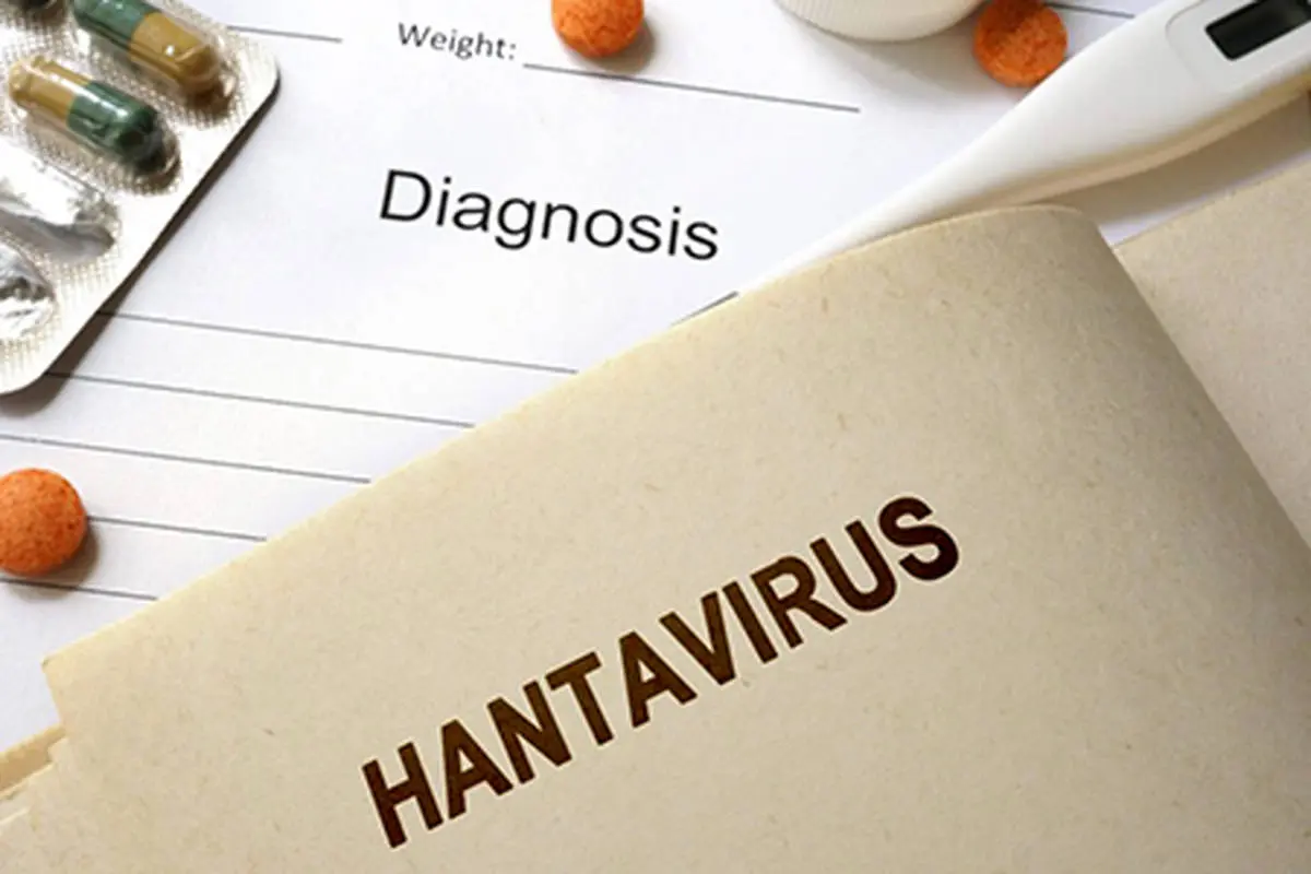 ویروس هانتا| علائم و راه‌های پیشگیری + جزئیات
