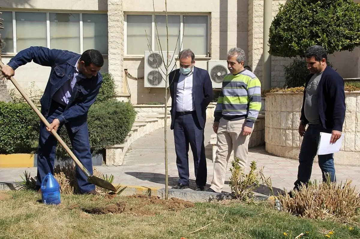کاشت چندین نهال توسط مسئولین منطقه تهران در هفته منابع طبیعی