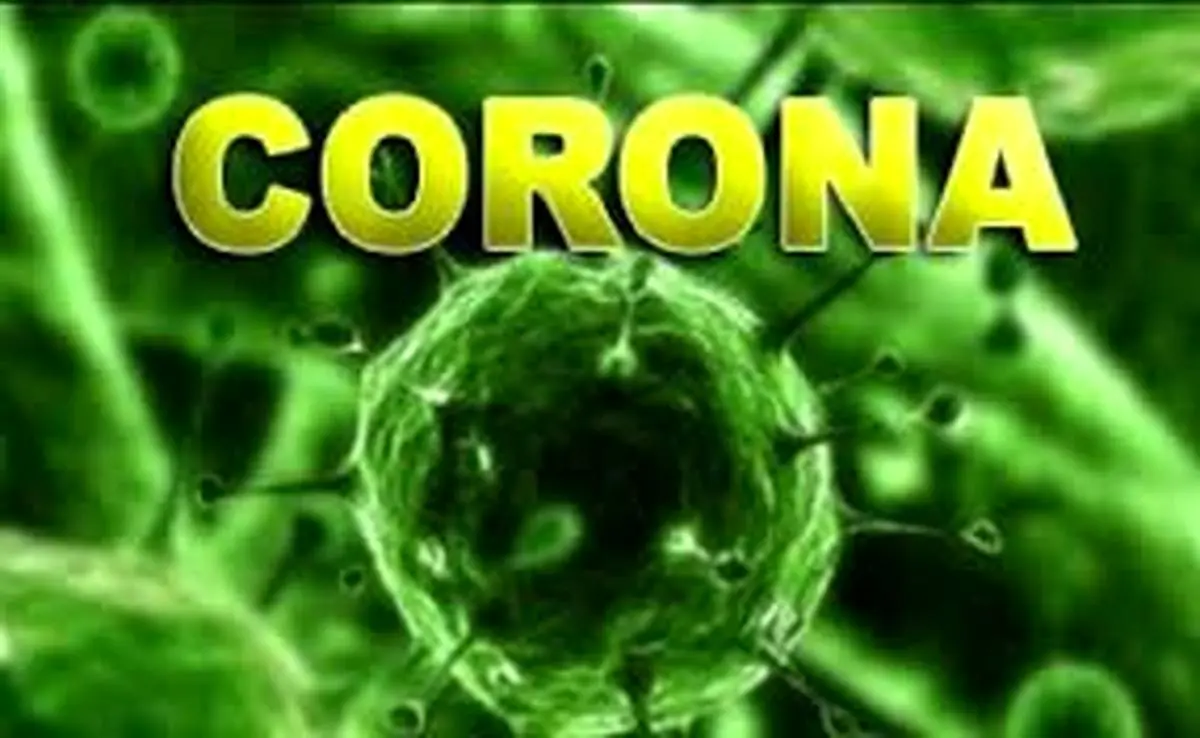 ویروس کرونا ممکن است تا فروردین و یا اردیبهشت وجود داشته باشد