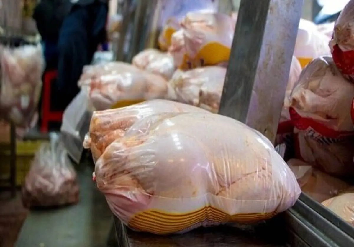 ریزش شدید قیمت مرغ در بازار | قیمت هر کیلو مرغ اعلام شد