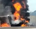 (ویدئو) سقوط هواپیمای کوچک در بزرگراه
