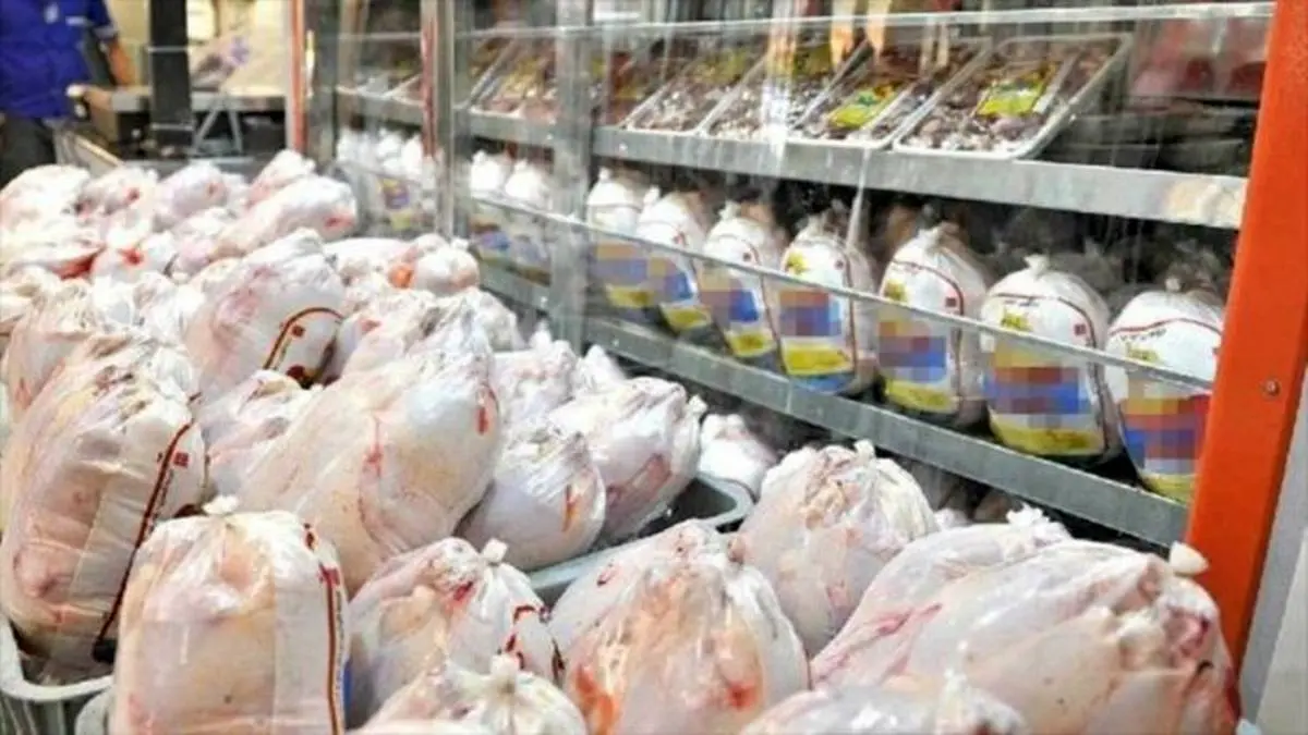 توزیع مرغ گرم در فروشگاه‌های زنجیره‌ای از فردا