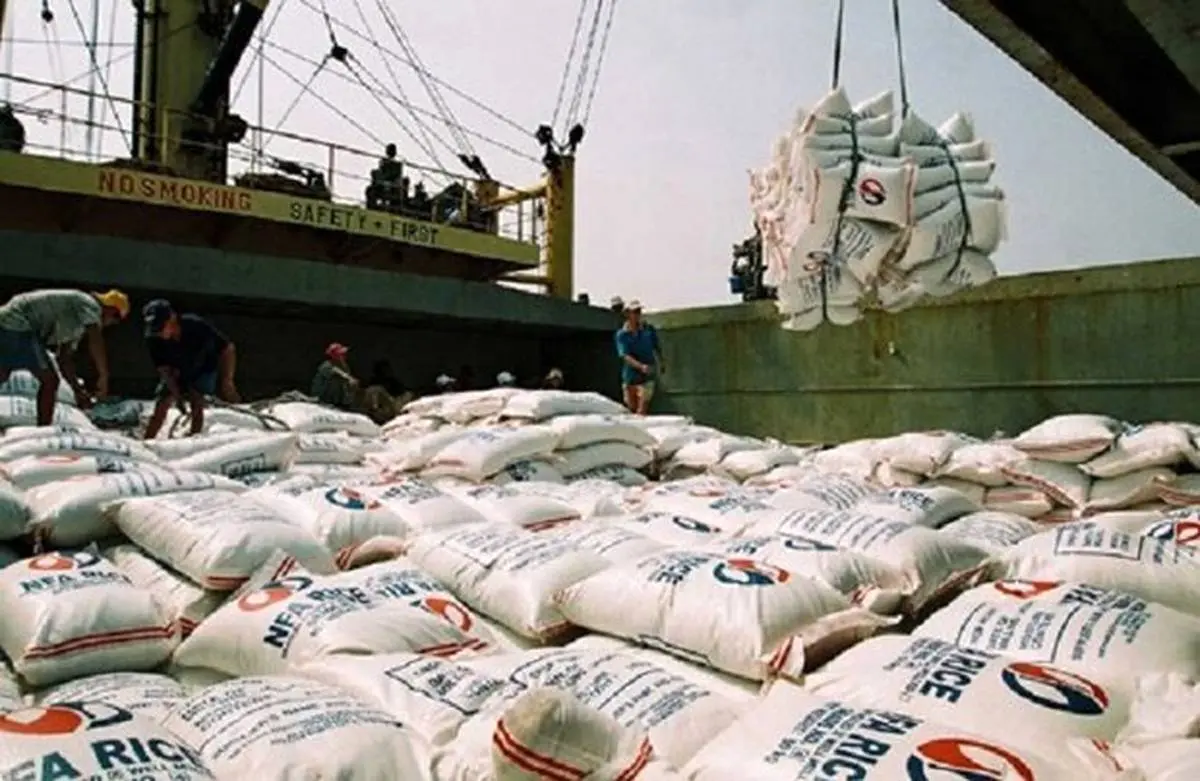 واردات برنج نصف شد  | چرا تاجران دیگر به ایرانی ها برنج نمی دهند؟