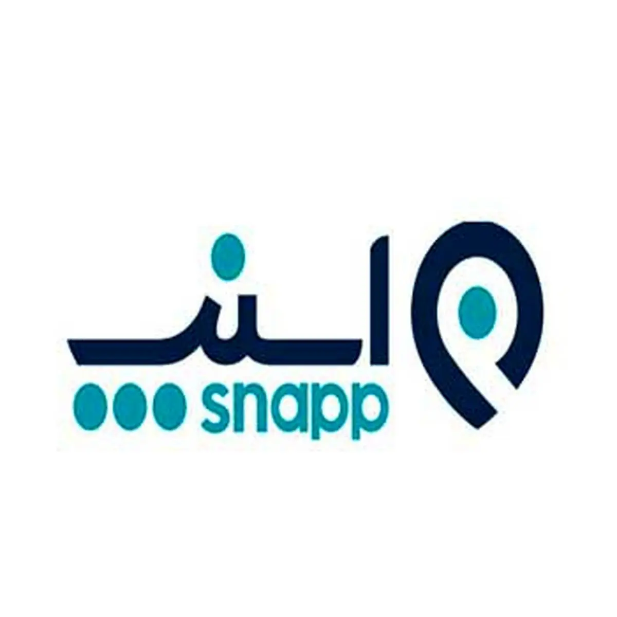 رویکرد حسابداری اسنپ؛ بر پایه استانداردهای بینالمللی