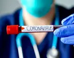 چتر حمایتی بیمه حکمت بر سر کارکنان برخی ارگان‌ها برای مقابله با کروناویروس
