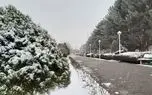 به هیچ عنوان آخر هفته به شمال نروید