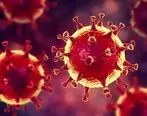 بهترین راه تشخیص ویروس کرونا