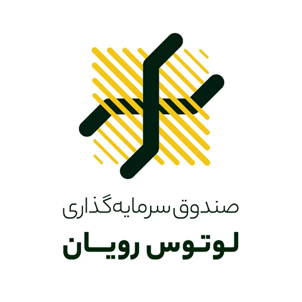 سود صندوق نیکوکاری لوتوس رویان پرداخت شد