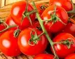 خواص باورنکردنی گوجه فرنگی | از جلوگیری از سرطان تا سکته مغزی
