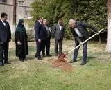 پزشکیان: مردم با مشارکت در کاشت درخت به بهبود محیط زیست کشور کمک کنند
