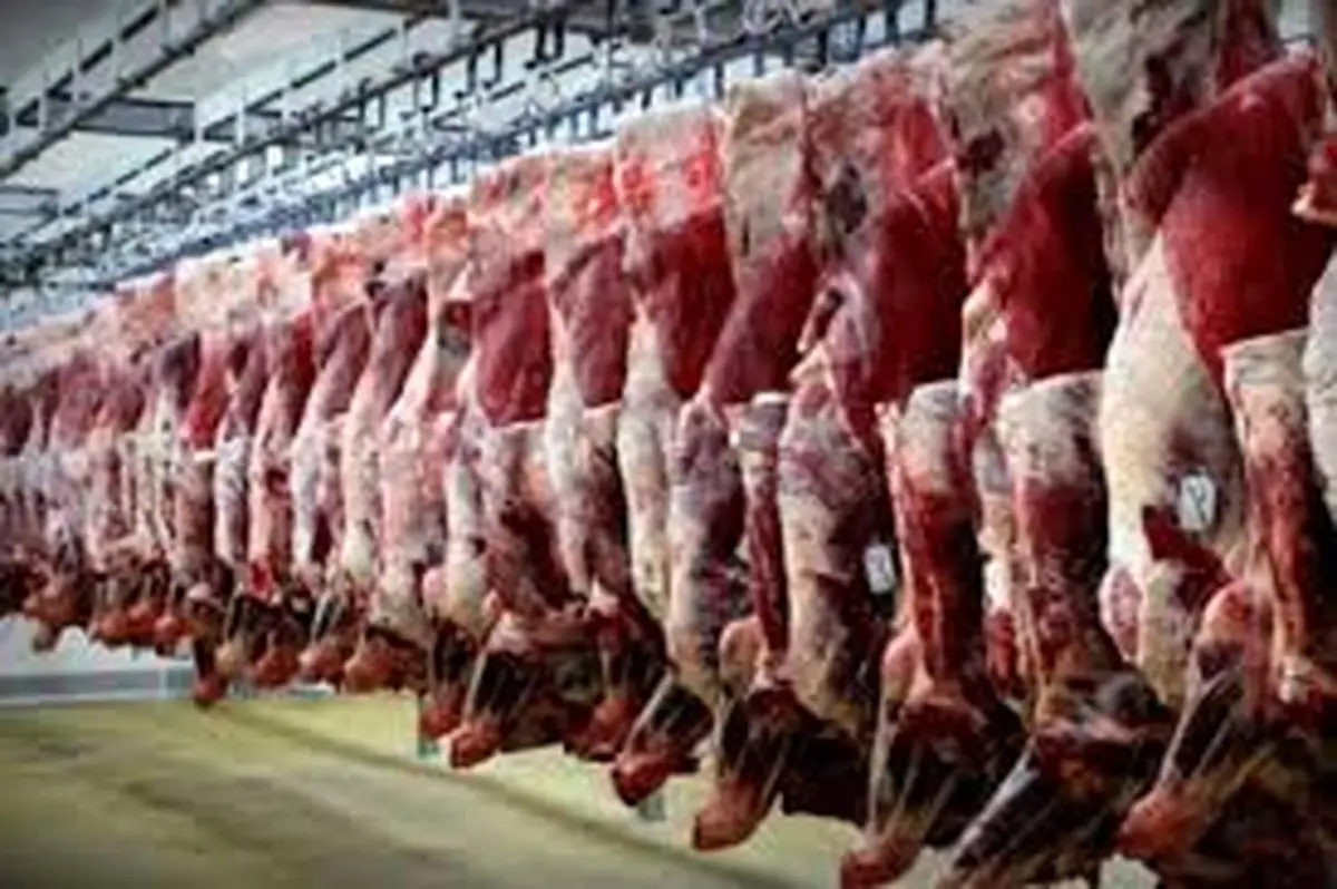 اخرین قیمت گوشت در بازار یکشنبه 30 تیر