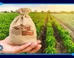 پرداخت تسهیلات تکمیلی به طرح‌های مناطق روستایی و عشایری

