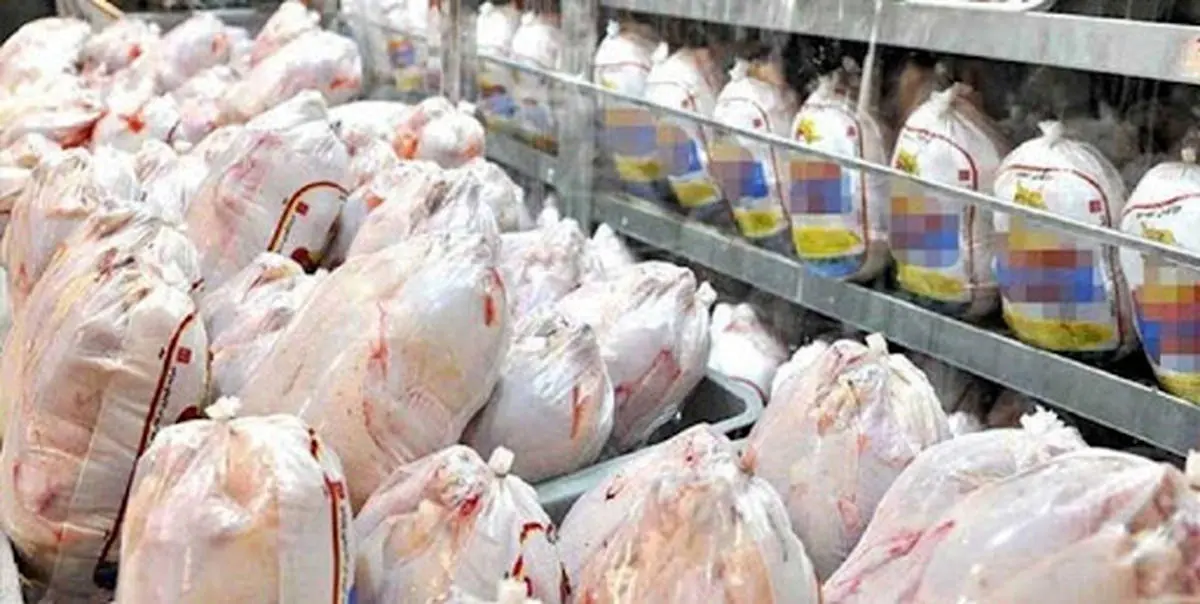 ارزانی قیمت مرغ در راه است / مرغ چقدر می شود؟ 