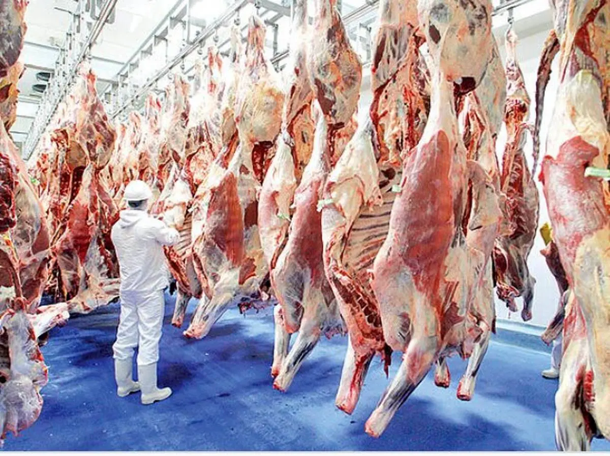 قیمت گوشت تعیین تکلیف شد | در بهار قیمت گوشت کاهشی می‌شود 