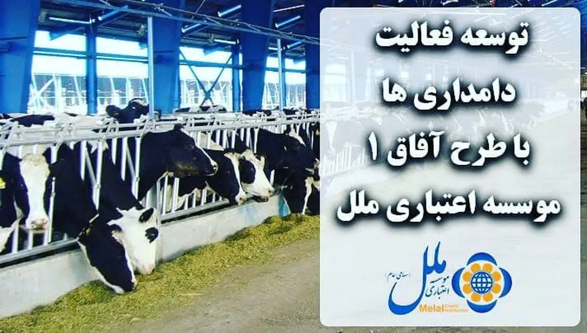 توسعه فعالیت دامداری ها با طرح آفاق ۱ موسسه اعتباری ملل

