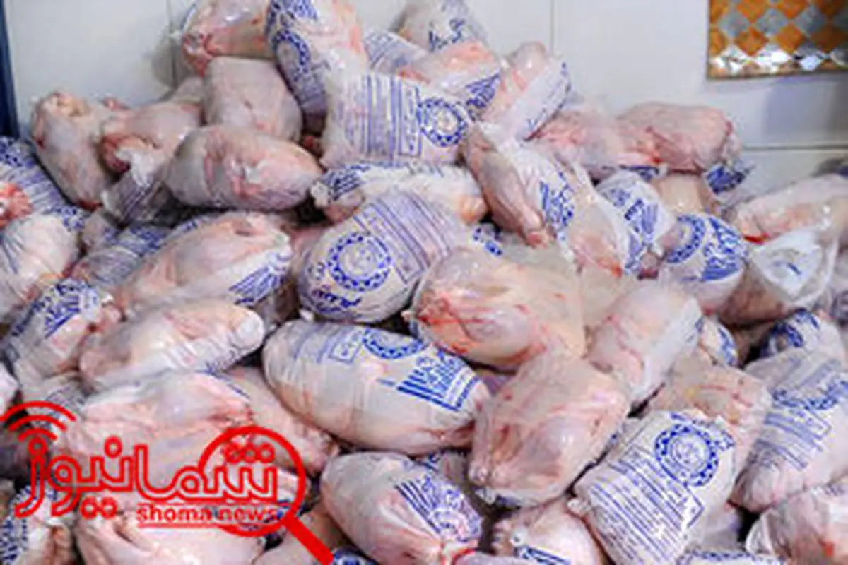آغاز صادرات مرغ به افغانستان/شکار پرندگان وحشی ممنوع است