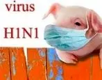 با آنفلوآنزای خوکی بیشتر آشنا شوید