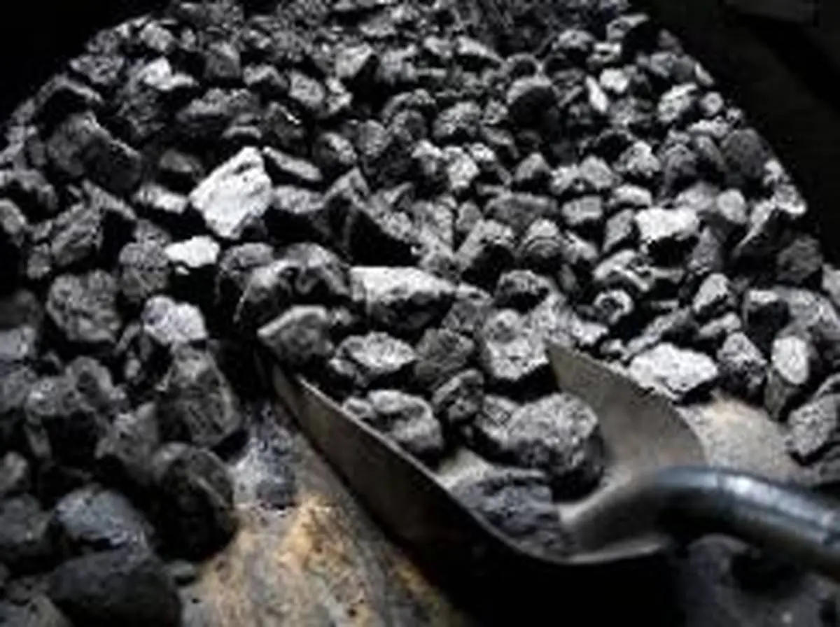 افزایش ۱۰ درصدی تولید کنسانتره زغال سنگ ایمیدرو