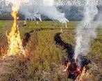 آتش بس در مزارع مازندران!
