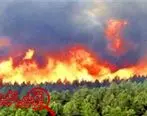 آتش‌سوزی در سه منطقه از جنگل‌های گلستان