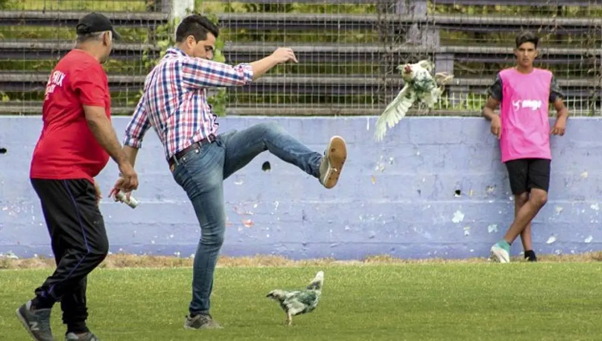 لحظه جنجالی لگد زدن به مرغ در زمین فوتبال!