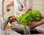 توصیه‎های مهم برای انگل زدایی در سبزیجات