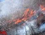 آتش‌سوزی در ارتفاعات تنگ ارم دشتستان مهار شد
