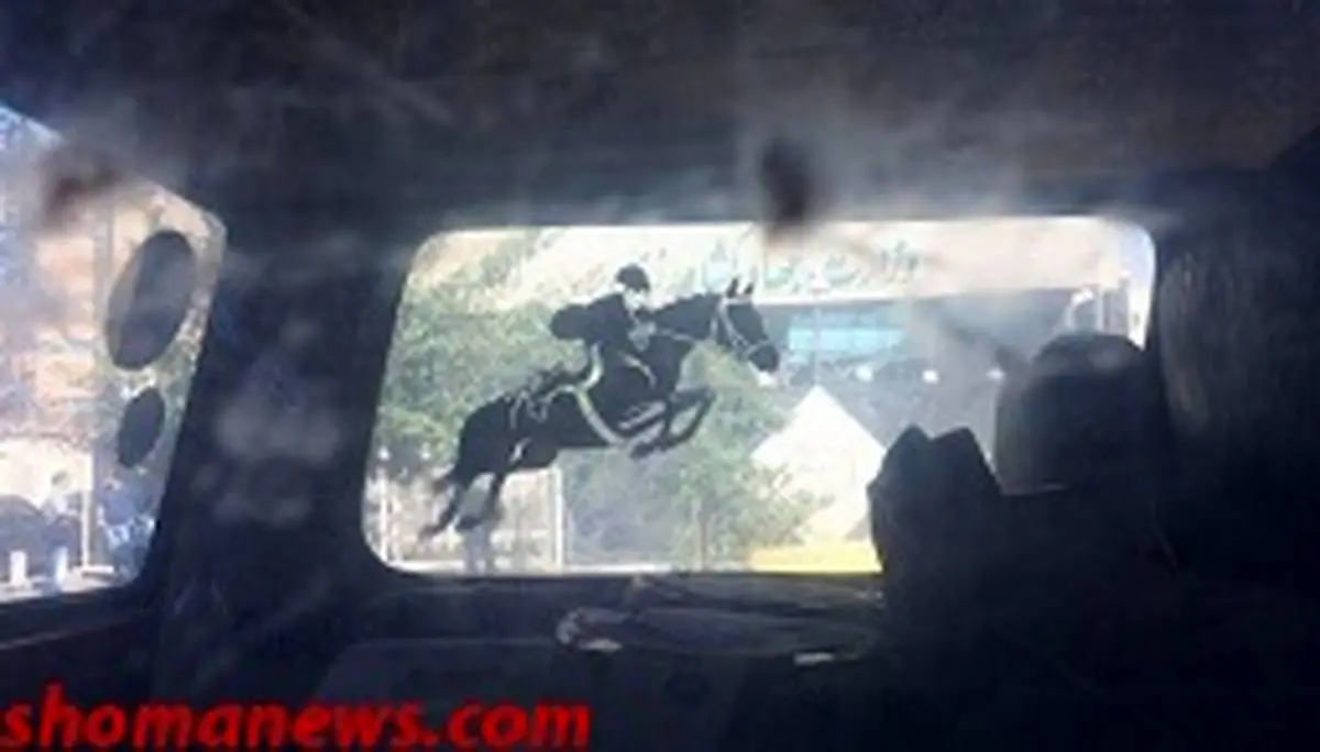 رهاسازی اسب‌های ایرانی مقابل وزارت کشاورزی برای اعتراض به واردات