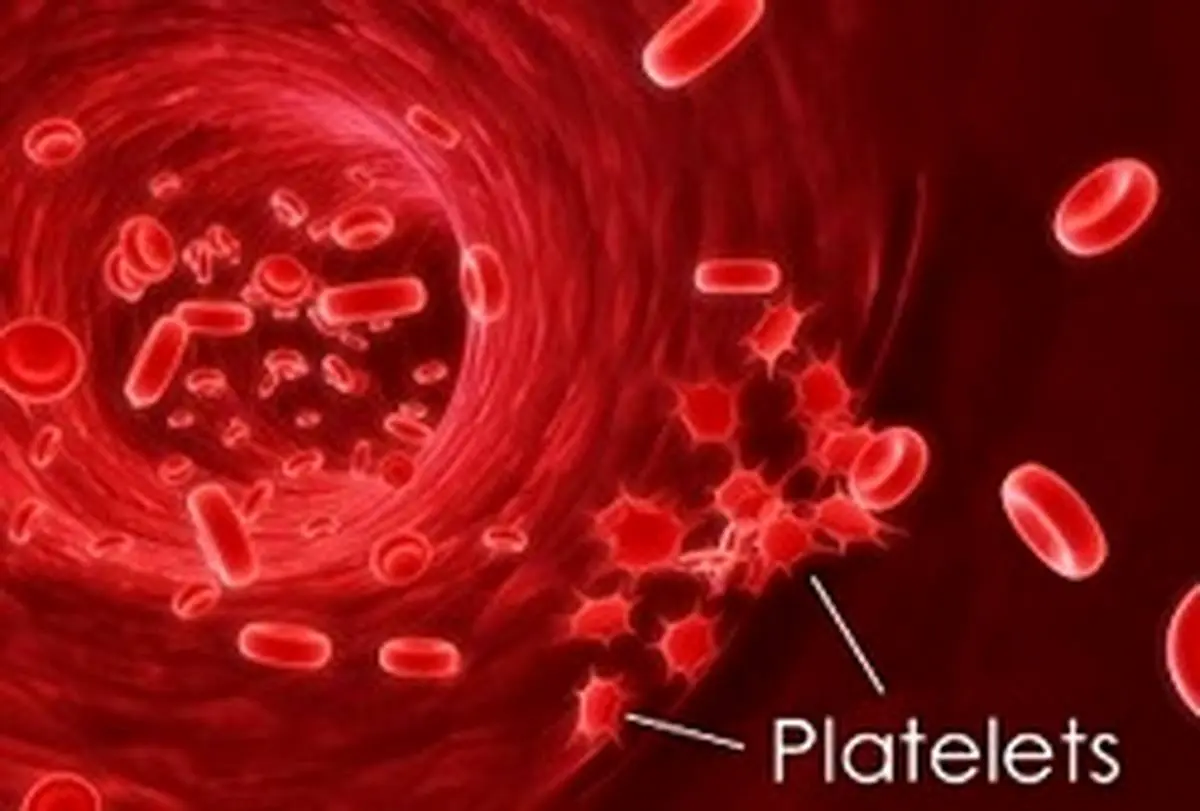 علت افزایش یا کاهش پلاکت ها در خون