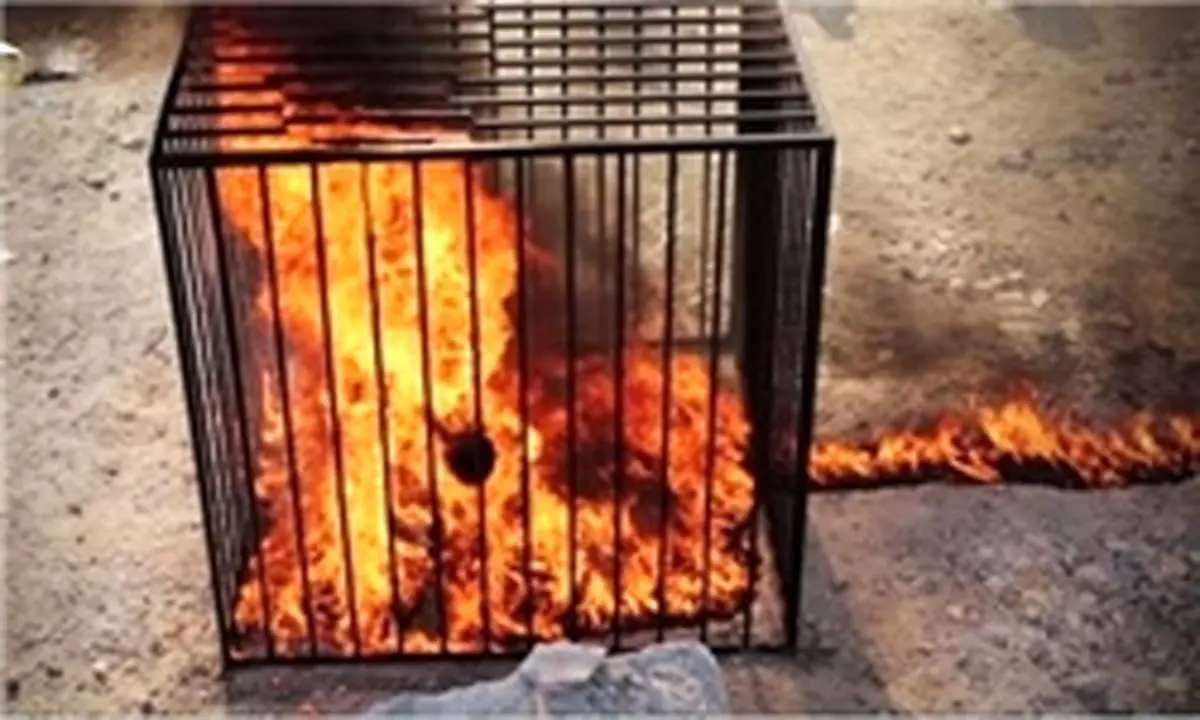 داعش 19 دختر کُرد را در موصل عراق زنده سوزاند