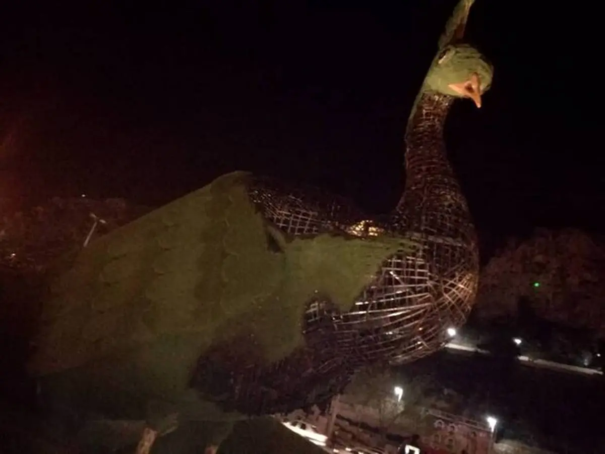 جزئیات آتش زدن طاووس دروازه قرآن شیراز