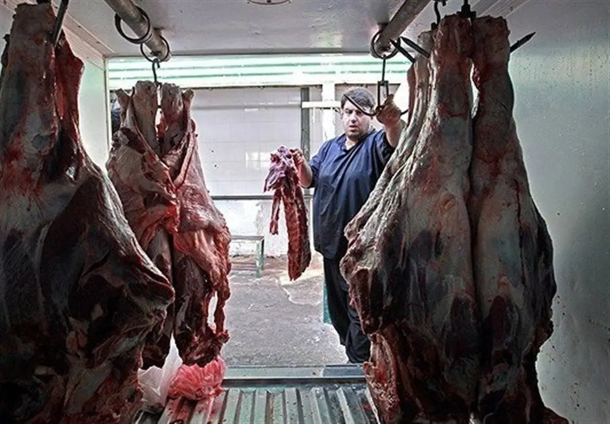 قیمت هر کیلو گوشت گوسفندی اعلام شد |  قیمت گوشت در میادین چند؟