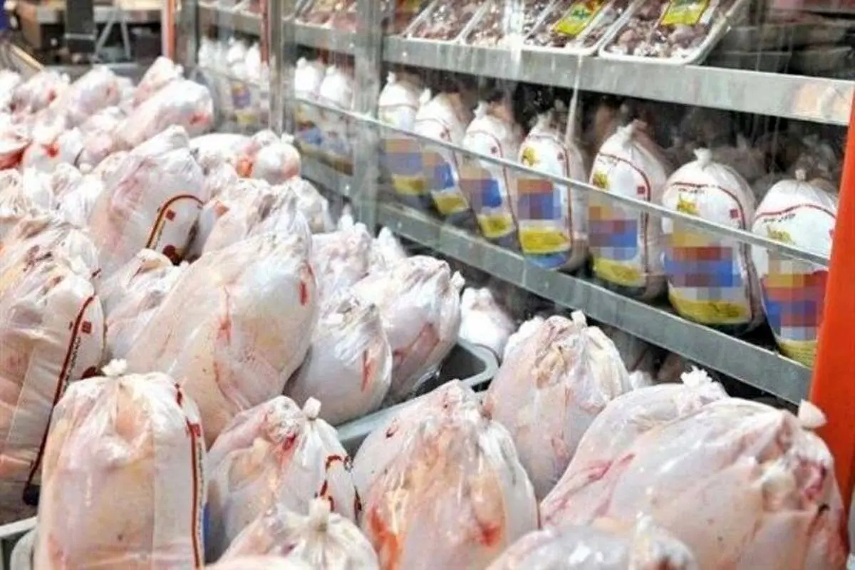 جزئیات توزیع مرغ دولتی در تهران