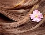 سلامت موی تان را با این شوینده های طبیعی گیاهی افزایش دهید 