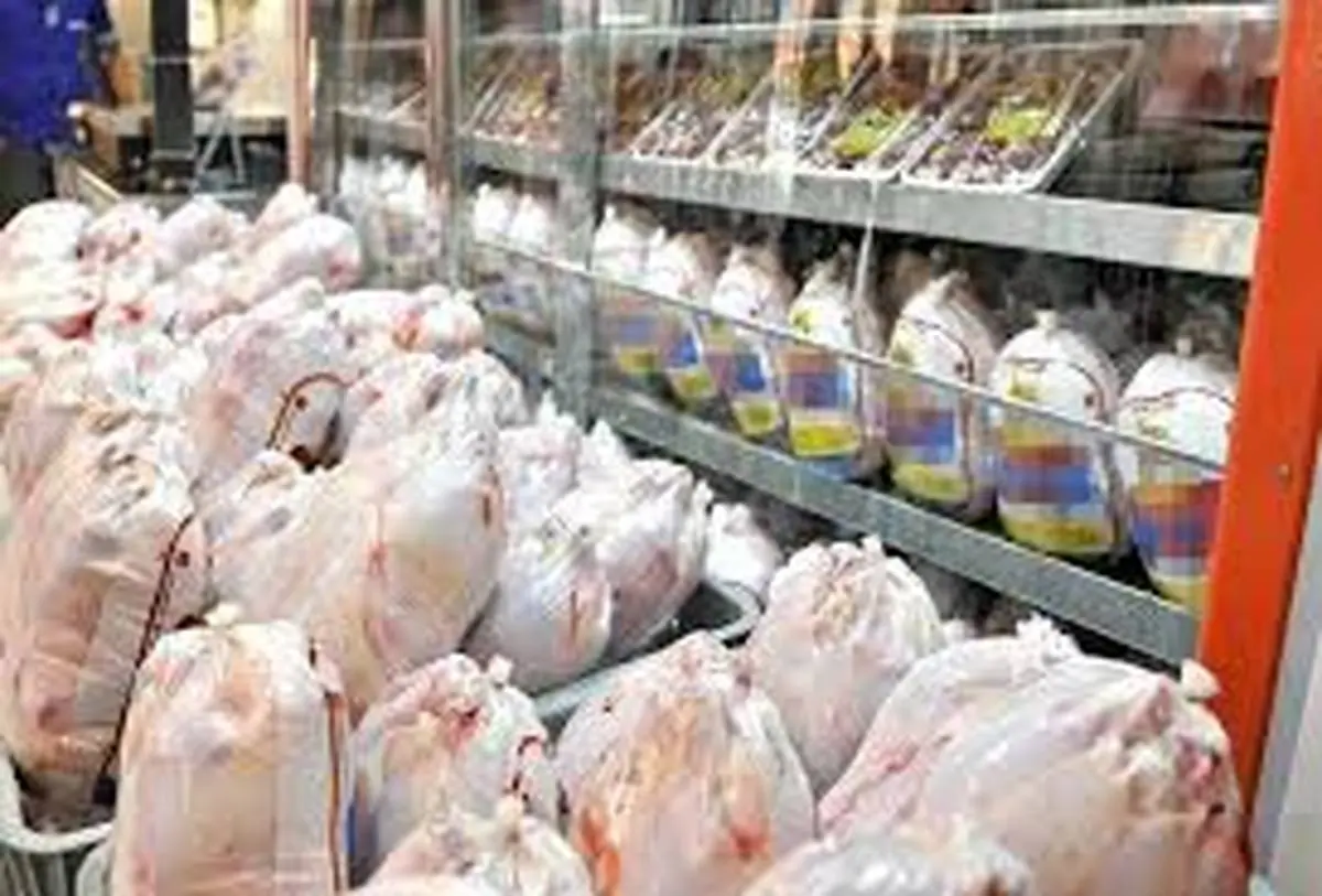 کاهش قیمت مرغ به حدود ۲۰هزار تومان