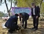 توزیع رایگان بیش از 2 هزار اصله نهال به مناسبت روز درختکاری در قشم