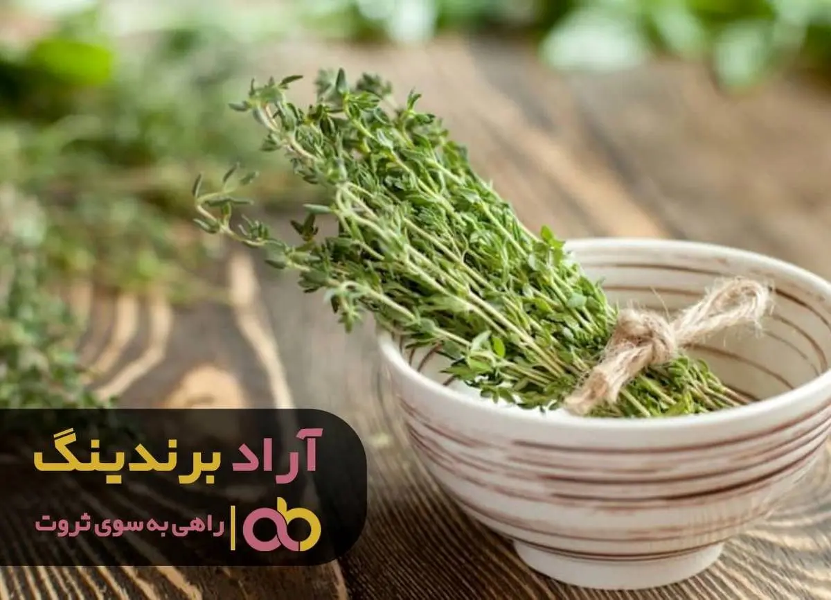 زندگی ایدال خود را با آویشن به ارمغان آورید