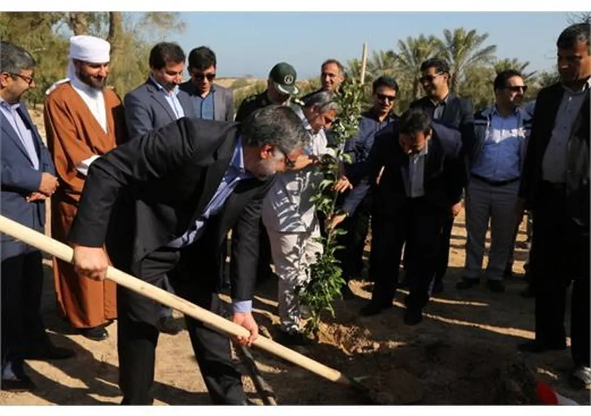 برگزاری مراسم درختکاری به همت شرکت پایانه های نفتی ایران در جزیره خارگ 