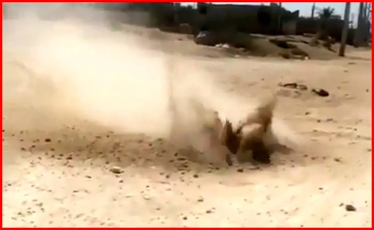 ماجرای جوشیدن خاک در بوشهر | فیلم جوشیدن خاک