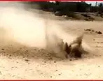 ماجرای جوشیدن خاک در بوشهر | فیلم جوشیدن خاک