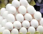 قیمت تخم مرغ در بازار | نرخ مصوب هر کیلوگرم تخم‌مرغ اعلام شد