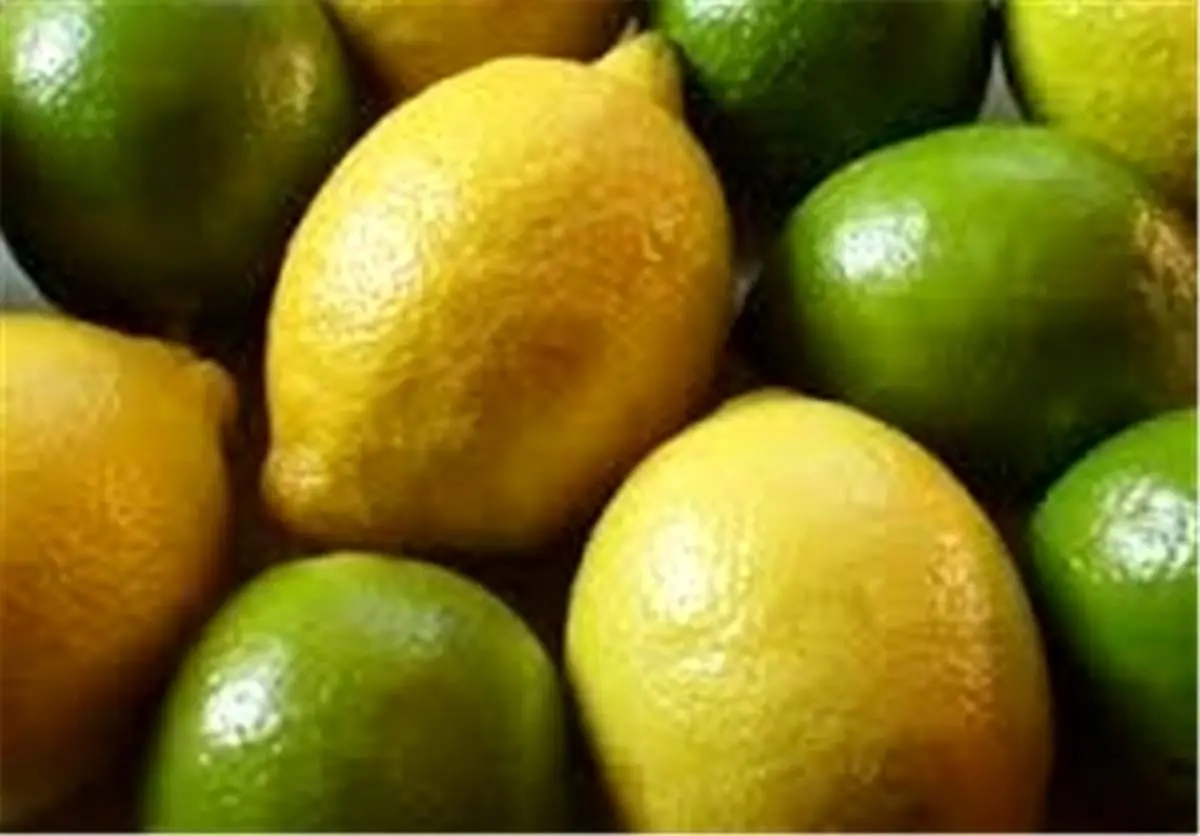 صادرات لیموترش و لیموشیرین ممنوع شد