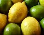 صادرات لیموترش و لیموشیرین ممنوع شد