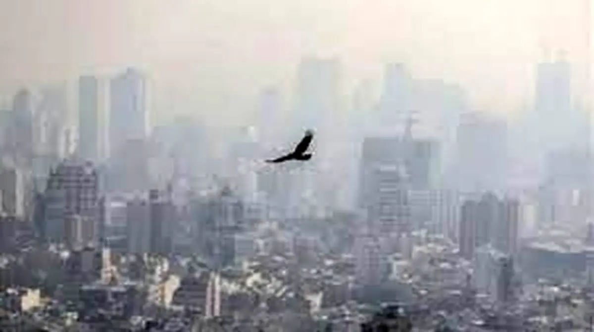  آلودگی وحشتناک هوا در تهران! | مردم به شدت مراقب باشند 