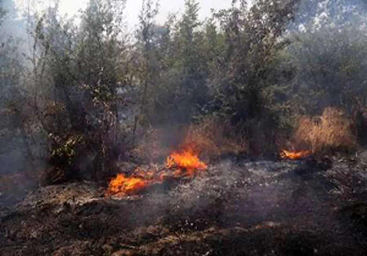 ۵۰ هکتار از اراضی ملی نورآباد در آتش سوخت